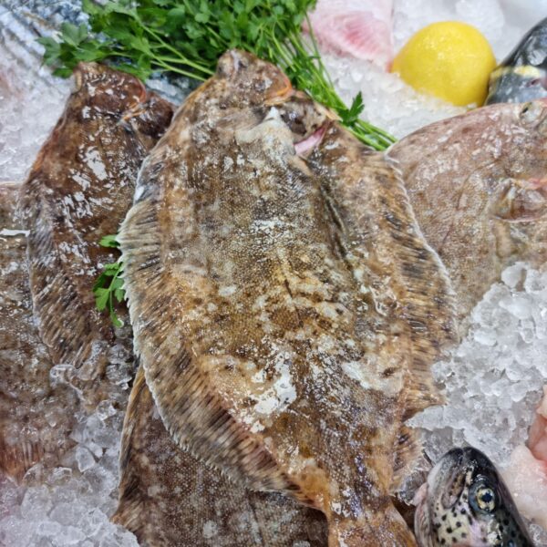 Bill's Plaice