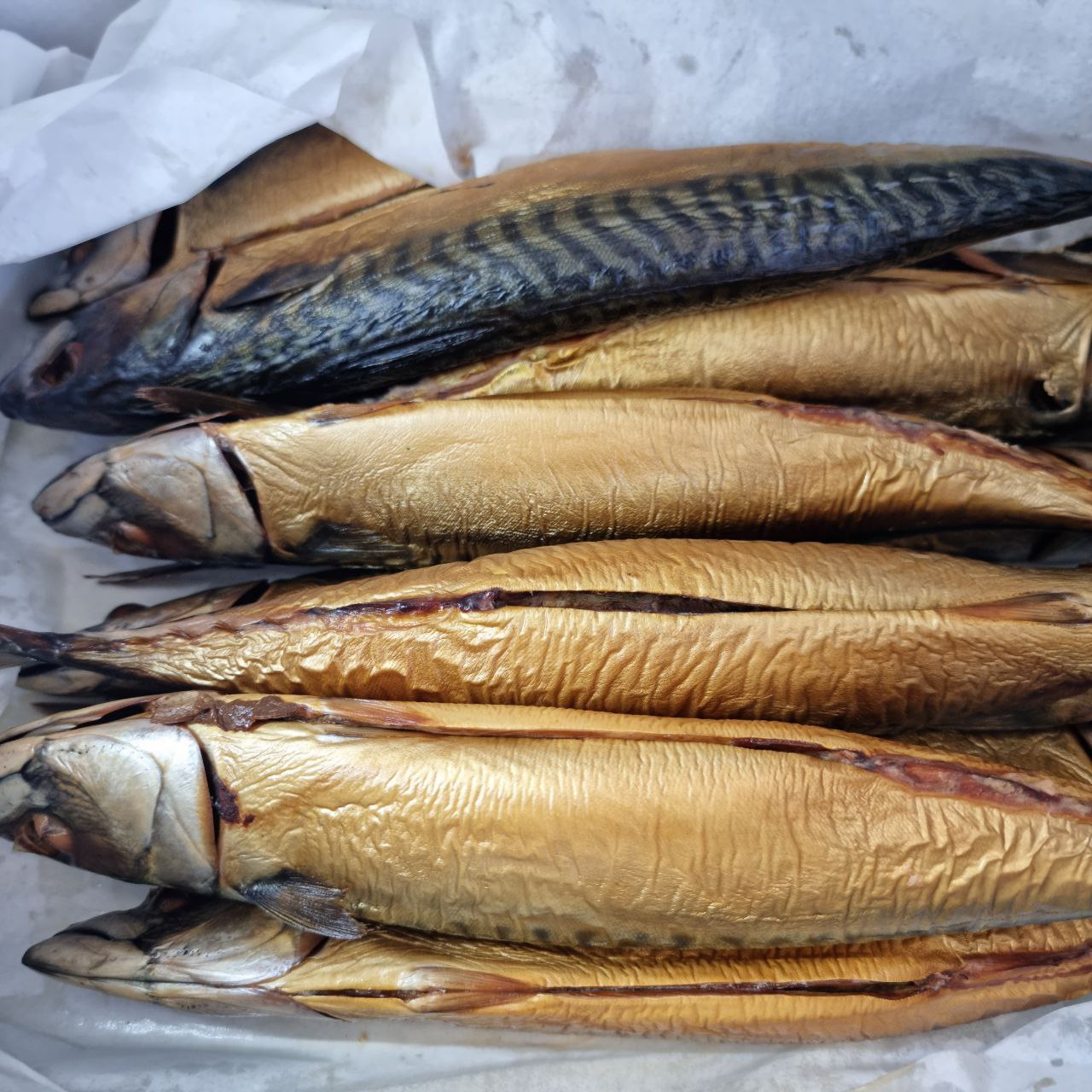 Kiln Roast Smoked Mackerel