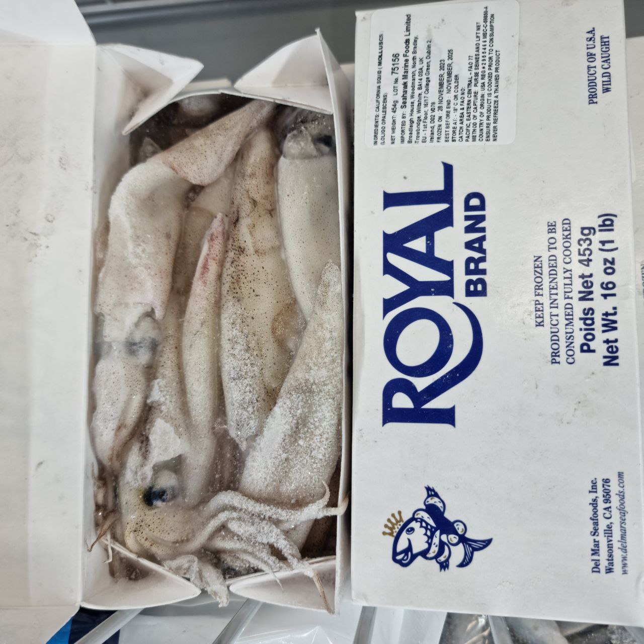 Raw Baby Squid Box